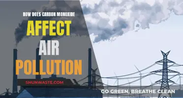 Carbon Monoxide's Impact on Air Pollution