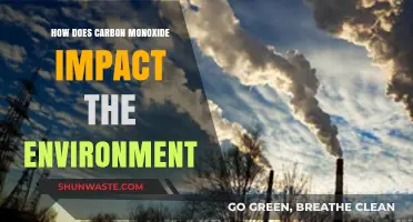 Carbon Monoxide's Environmental Impact: Unseen Dangers and Global Consequences