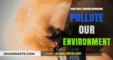 Carbon Monoxide: A Silent, Deadly Pollutant