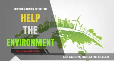 Carbon Offsetting: A Powerful Tool for Environmental Restoration and Sustainability