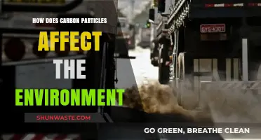 Carbon Particles' Environmental Impact: Pollution, Climate Change, and Ecosystem Disruption