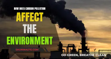 Carbon Pollution's Environmental Impact: A Climate Crisis