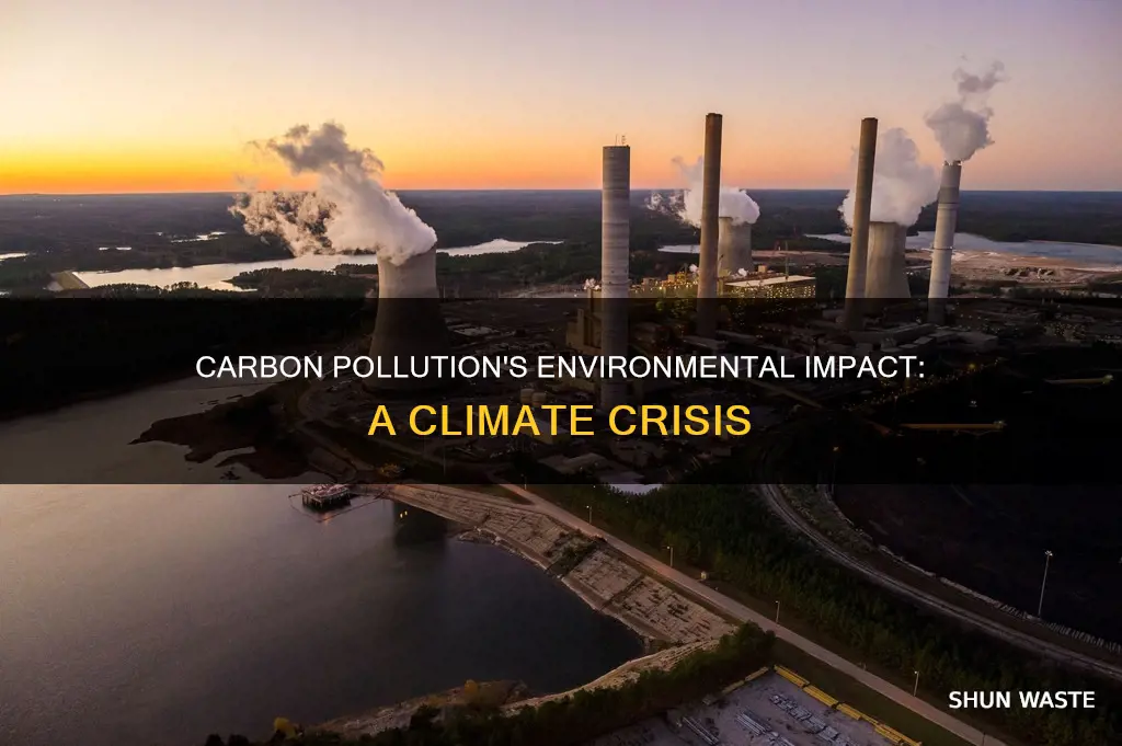 how does carbon pollution affect the environment