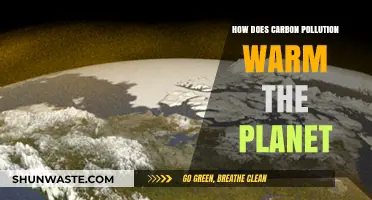 Carbon Pollution: Warming Our Planet