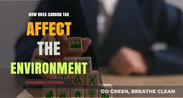 Carbon Tax Impact: Environmental Benefits and Economic Shifts Explained