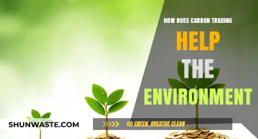 Carbon Trading: A Powerful Tool for Environmental Sustainability and Climate Action