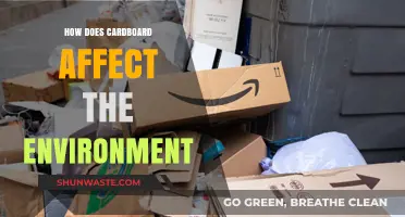 Cardboard's Environmental Impact: Recycling, Sustainability, and Eco-Friendly Practices