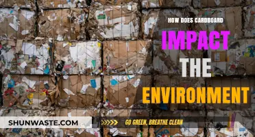 Cardboard's Environmental Impact: Recycling, Sustainability, and Eco-Friendly Practices