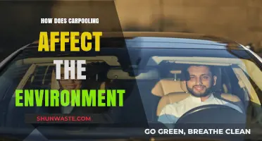 Carpooling's Green Impact: Reducing Emissions and Saving Resources