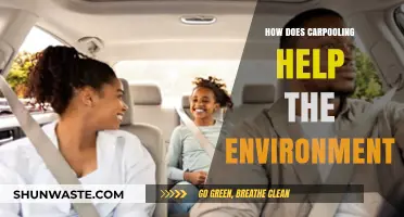 Carpooling's Green Impact: Reducing Emissions and Saving Resources