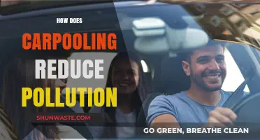 Carpooling: Less Traffic, Less Pollution, Better Planet