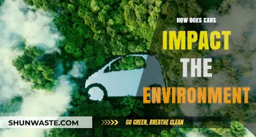 Cars' Environmental Impact: Pollution, Climate Change, and Sustainability Challenges