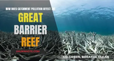 Catchment Pollution: Killing the Great Barrier Reef