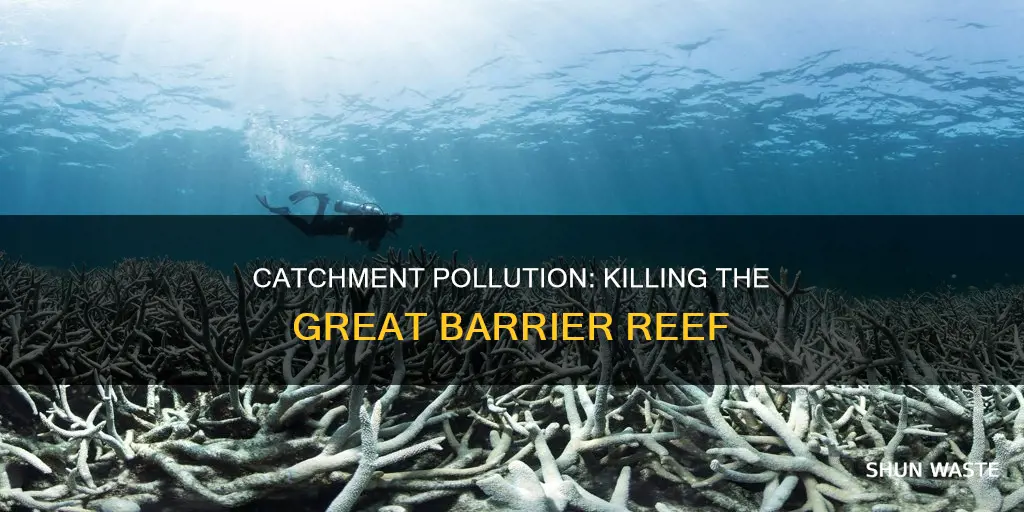 how does catchment pollution affect the great barrier reef