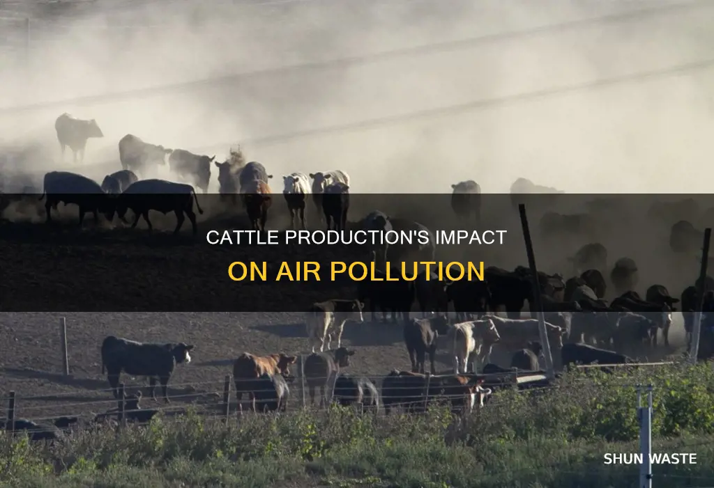 how does cattle production affect air pollution