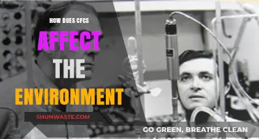 CFCs' Environmental Impact: Ozone Depletion, Climate Change, and Ecosystem Disruption