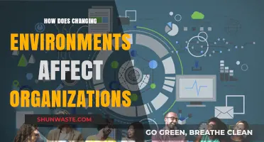 Adapting to Change: How Shifting Environments Reshape Organizations and Strategies