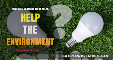 Switching to Eco-Friendly Bulbs: A Bright Move for Our Planet