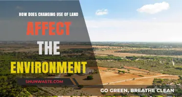 Land Use Shifts: Environmental Impacts and Sustainable Solutions Explored