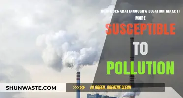 Chattanooga's Geography: Pollution Susceptibility and Environmental Challenges