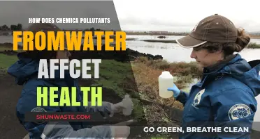 Chemical Contaminants in Water: Health Hazards Revealed