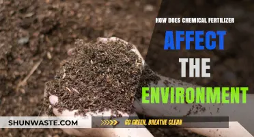 Chemical Fertilizers: Environmental Impact and Sustainable Alternatives Explored