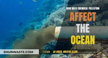 Ocean's Chemical Pollution: Understanding the Impact