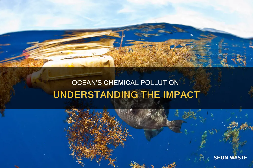 how does chemical pollution affect the ocean