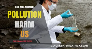 Chemical Pollution: Its Harmful Effects on Our Health