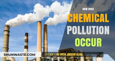 The Toxic Truth: How Chemical Pollution Occurs