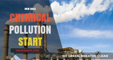 Chemical Pollution: Its Origins and Our Future