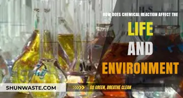 Chemical Reactions: Impact on Life, Environment, and Sustainability Explained