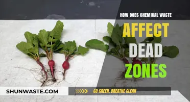 Chemical Waste's Deadly Impact: Unraveling Dead Zones in Our Oceans
