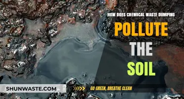 Chemical Waste Dumping: Soil Pollution, Environmental Impact, and Solutions
