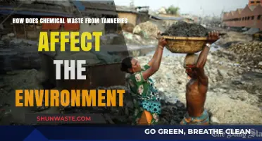 Toxic Tannery Waste: Environmental Impact and Pollution Concerns