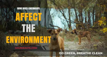 Chernobyl's Environmental Legacy: Long-Term Impacts on Ecosystems and Wildlife