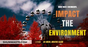Chernobyl's Environmental Legacy: Long-Term Effects on Nature and Ecosystems