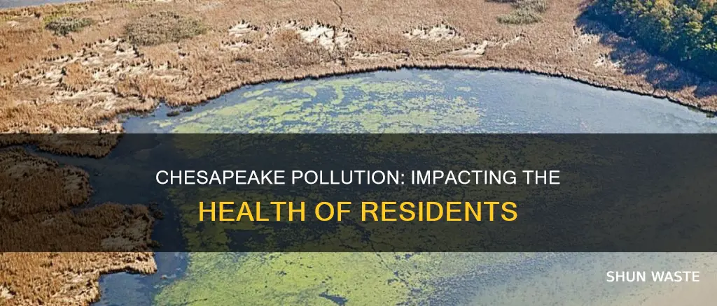 how does chesapeake pollution affect residents