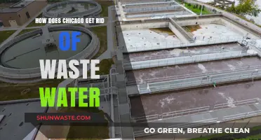 Chicago's Wastewater Management: Treatment, Disposal, and Environmental Impact
