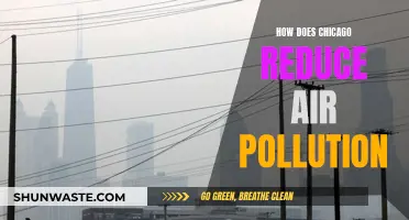 Chicago's Strategies to Reduce Air Pollution