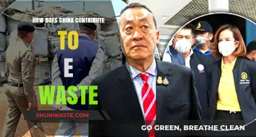 China's Role in the Global E-Waste Crisis: Causes and Solutions