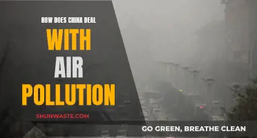 China's Battle Against Air Pollution: Strategies and Challenges