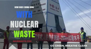 China's Nuclear Waste Management: Strategies, Challenges, and Environmental Impact