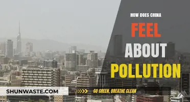 China's Pollution Problem: A Citizen's Perspective