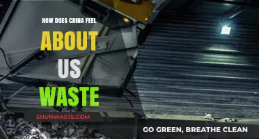 China's Perspective on US Waste: Challenges and Environmental Implications