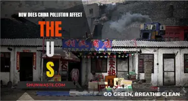 China's Pollution: A Global Concern for the US