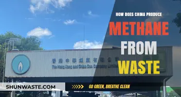 China's Methane Revolution: Transforming Waste into Clean Energy