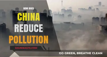 China's War on Pollution: Strategies and Successes