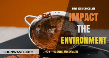Chocolate's Environmental Footprint: Sustainability Challenges and Solutions Explored