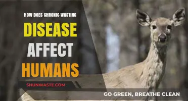 Chronic Wasting Disease: Potential Risks and Impacts on Human Health